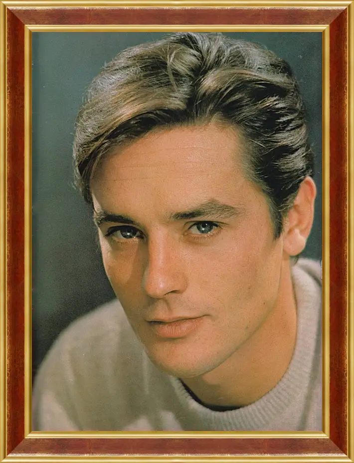 Картина в раме - Ален Делон. Alain Delon