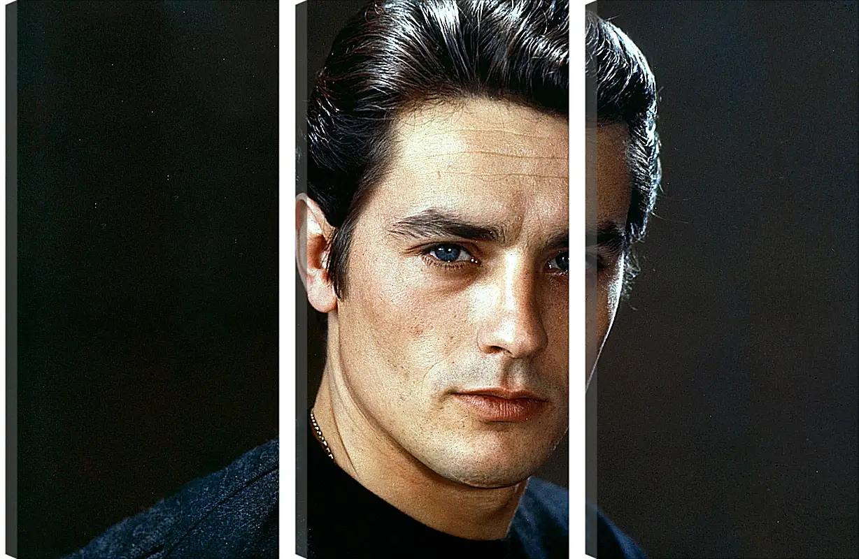 Модульная картина - Ален Делон. Alain Delon