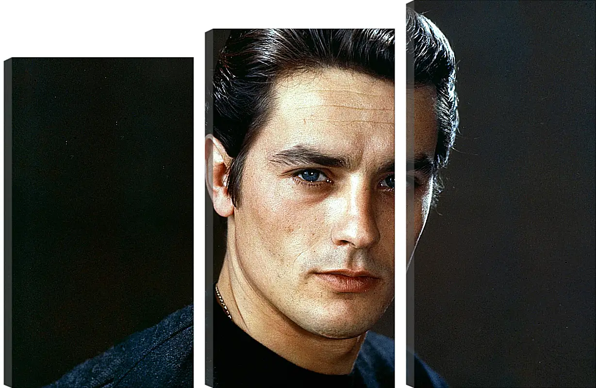 Модульная картина - Ален Делон. Alain Delon