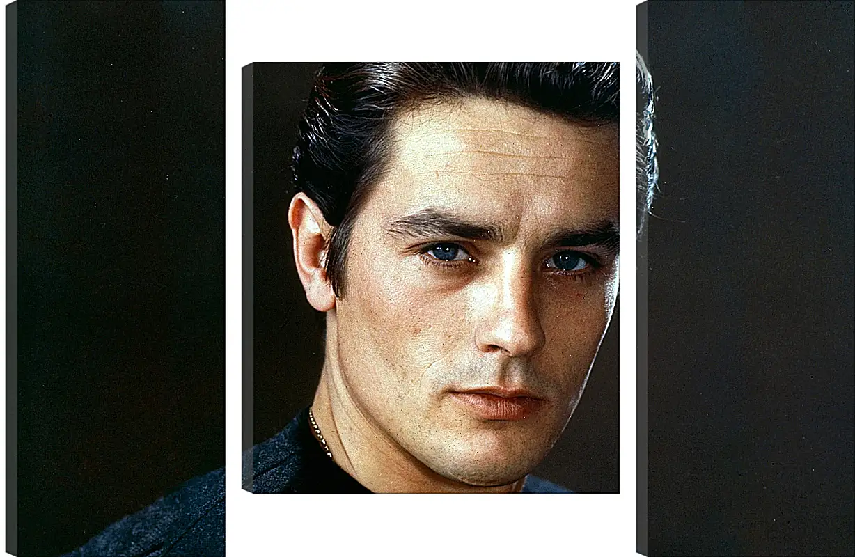 Модульная картина - Ален Делон. Alain Delon