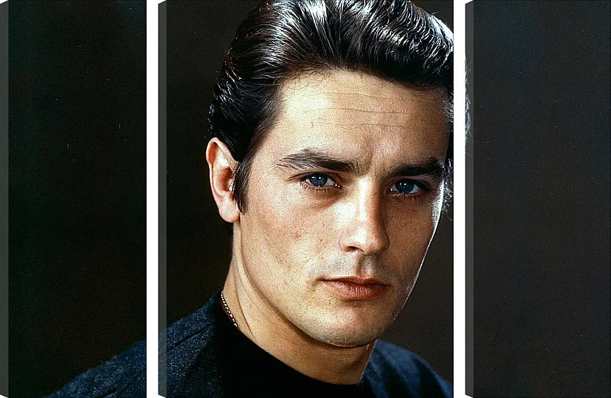 Модульная картина - Ален Делон. Alain Delon