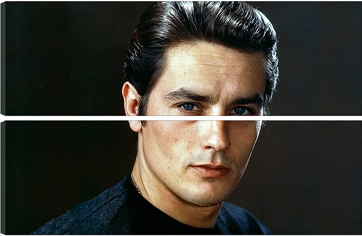 Модульная картина - Ален Делон. Alain Delon