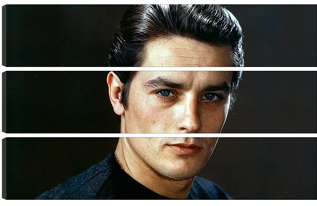 Модульная картина - Ален Делон. Alain Delon