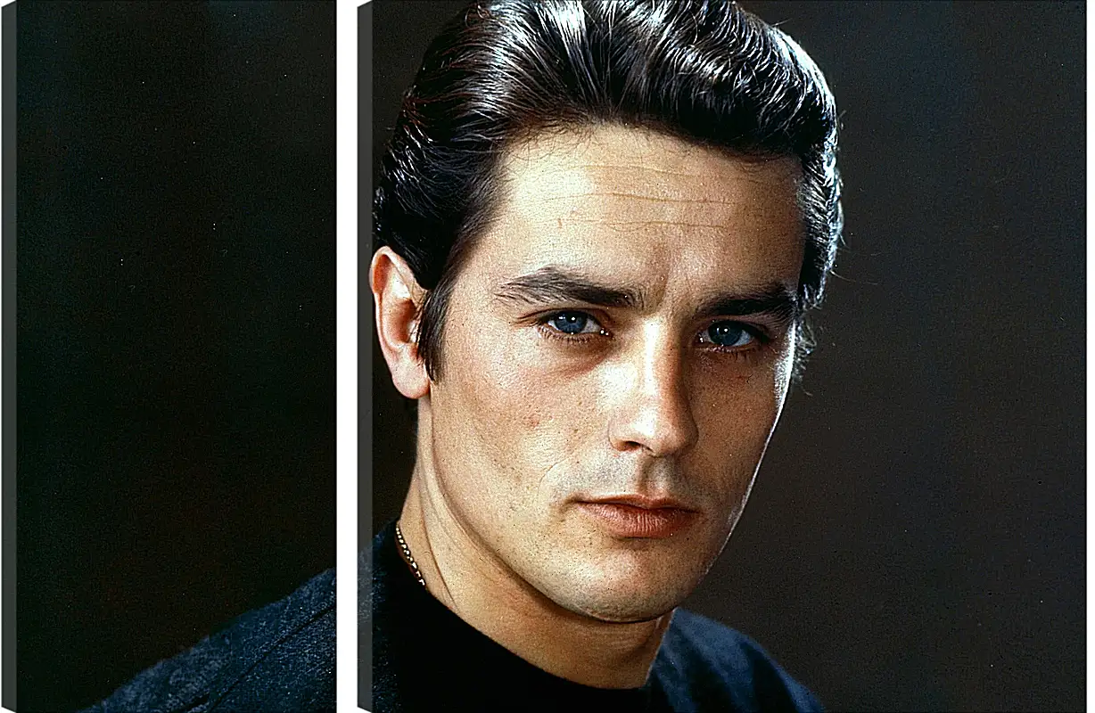 Модульная картина - Ален Делон. Alain Delon