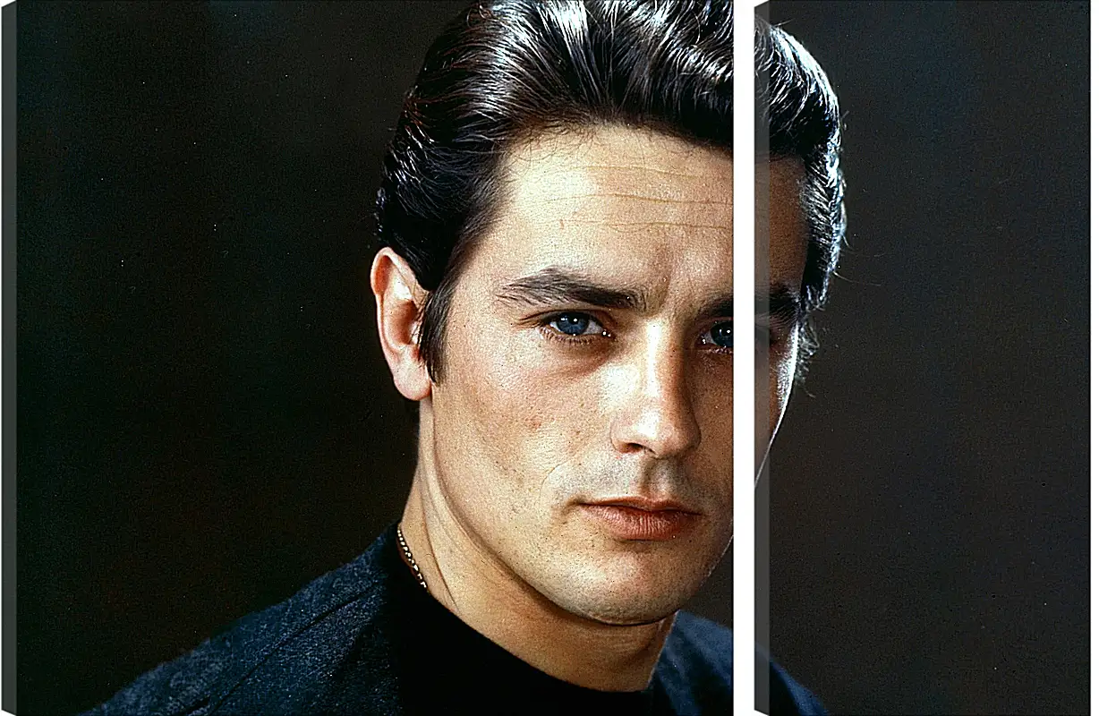 Модульная картина - Ален Делон. Alain Delon