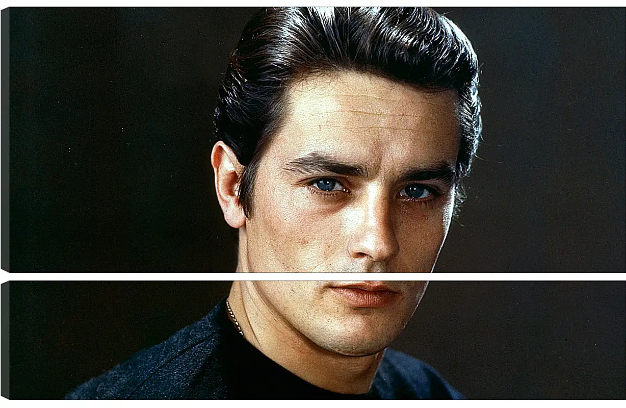 Модульная картина - Ален Делон. Alain Delon