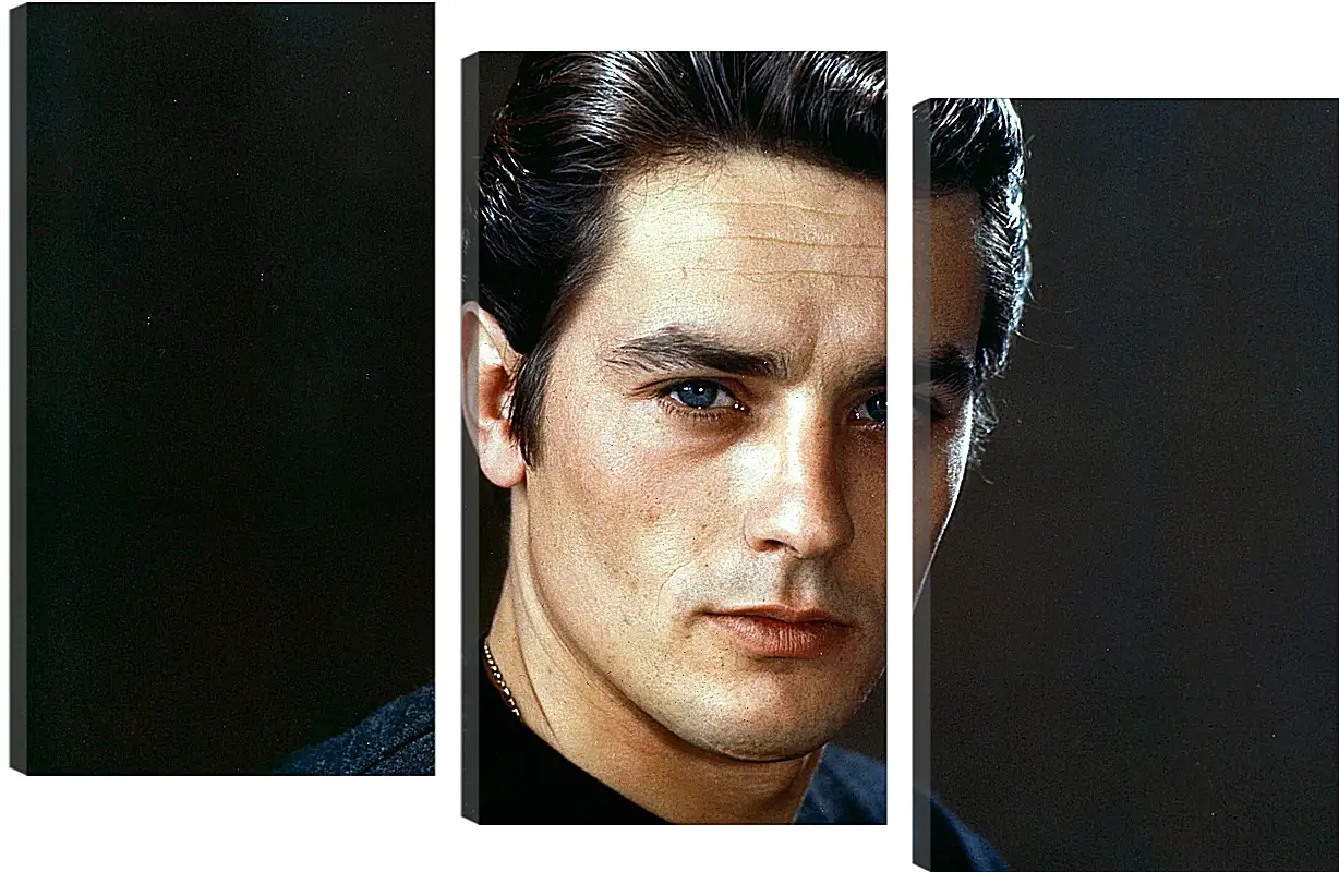 Модульная картина - Ален Делон. Alain Delon