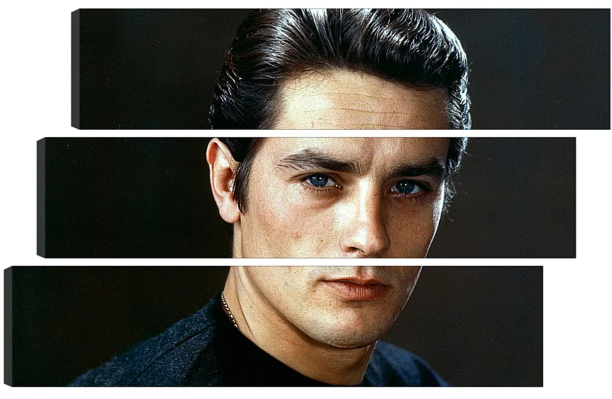 Модульная картина - Ален Делон. Alain Delon