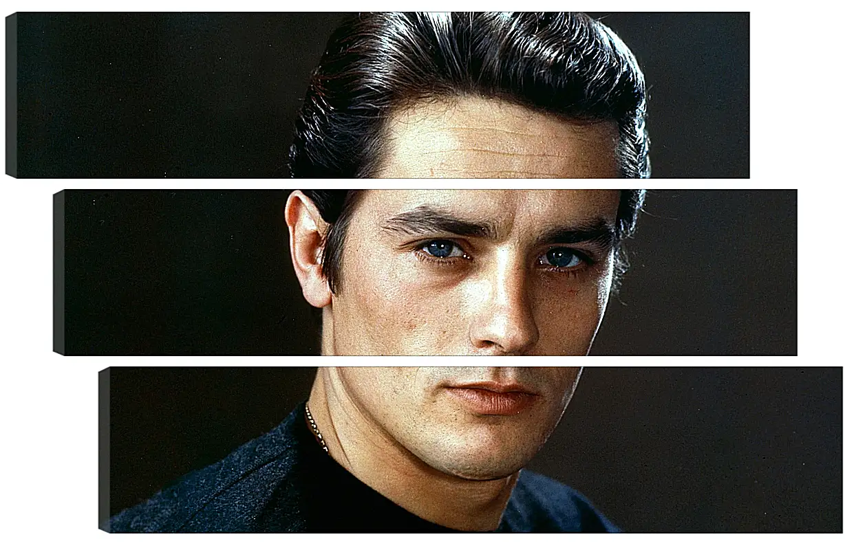 Модульная картина - Ален Делон. Alain Delon