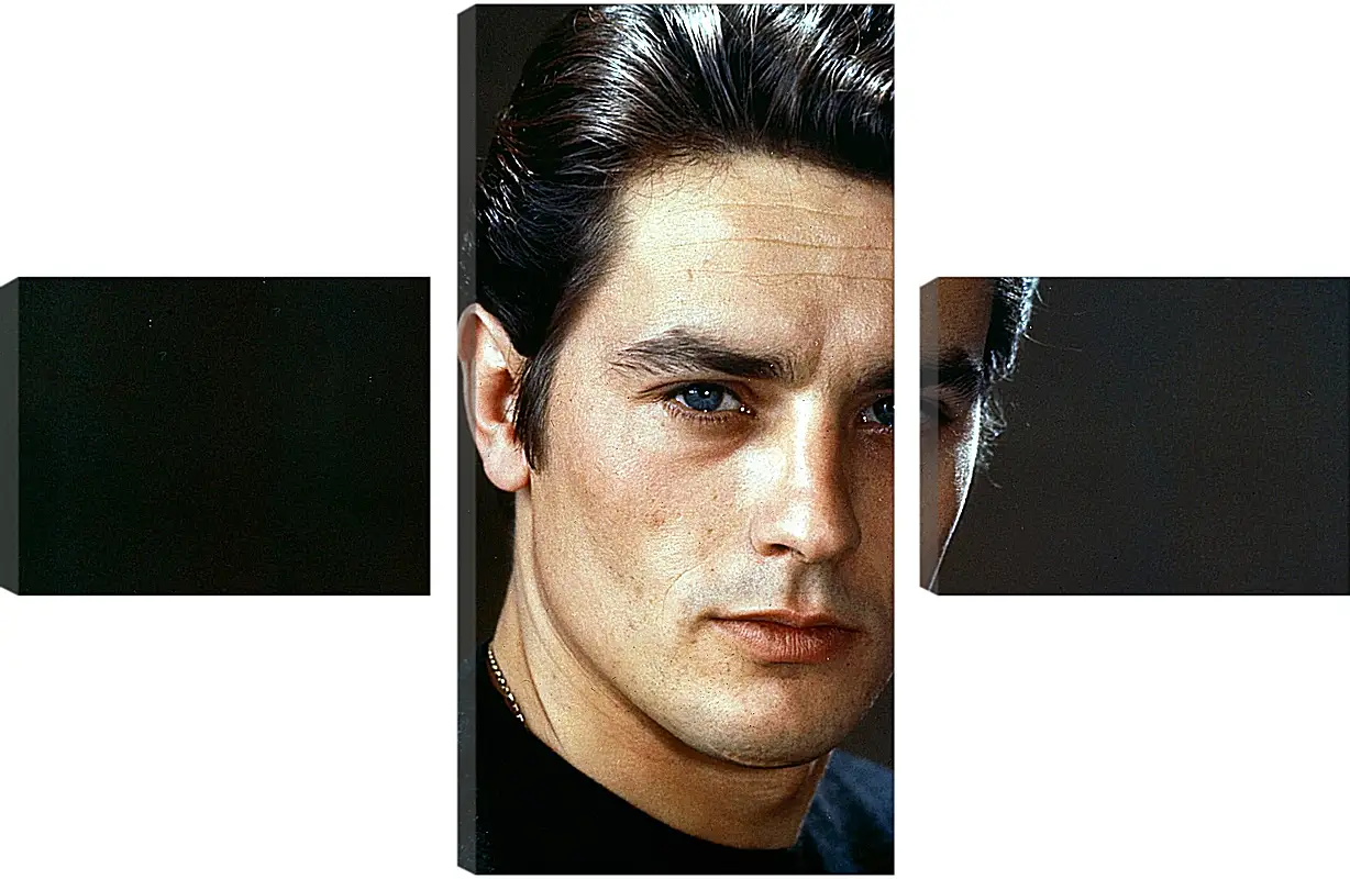 Модульная картина - Ален Делон. Alain Delon