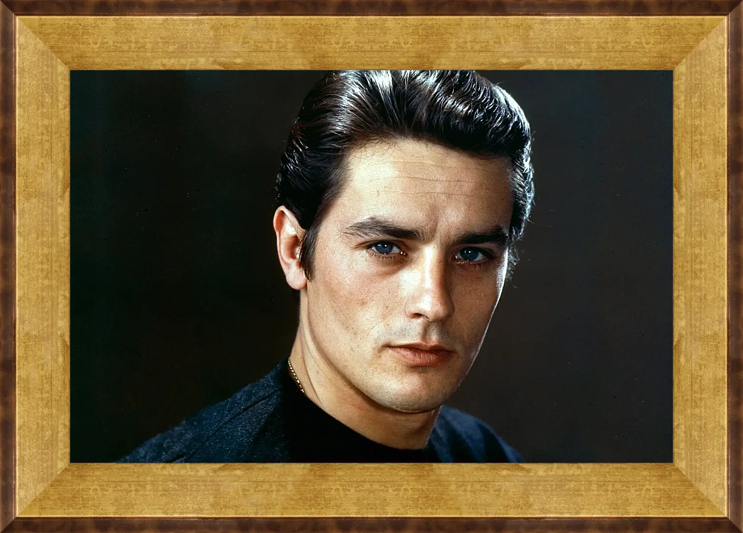 Картина в раме - Ален Делон. Alain Delon