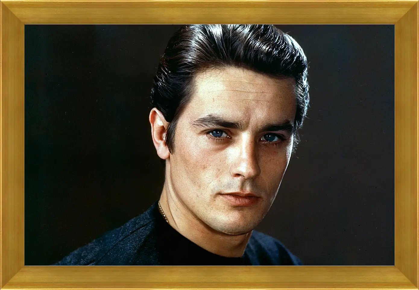 Картина в раме - Ален Делон. Alain Delon