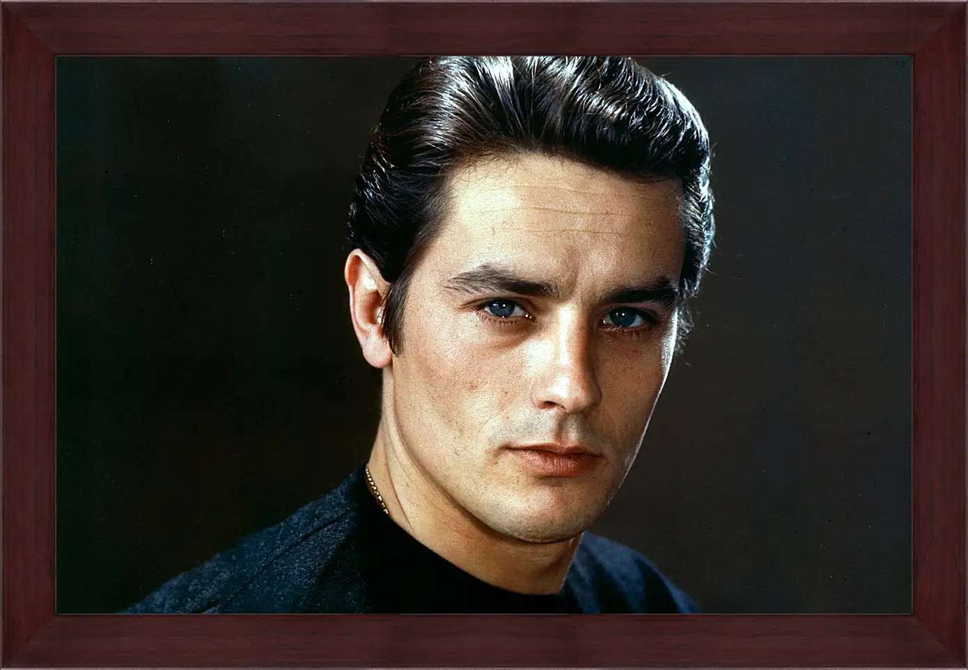 Картина в раме - Ален Делон. Alain Delon