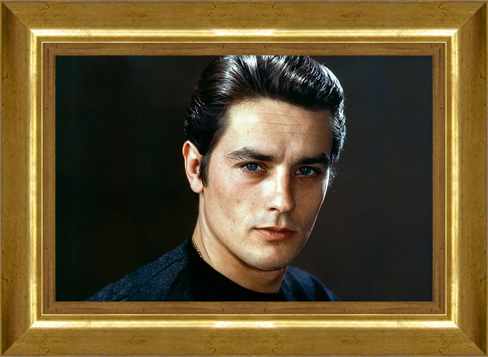 Картина в раме - Ален Делон. Alain Delon