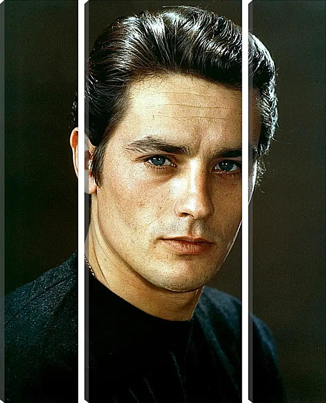 Модульная картина - Ален Делон. Alain Delon