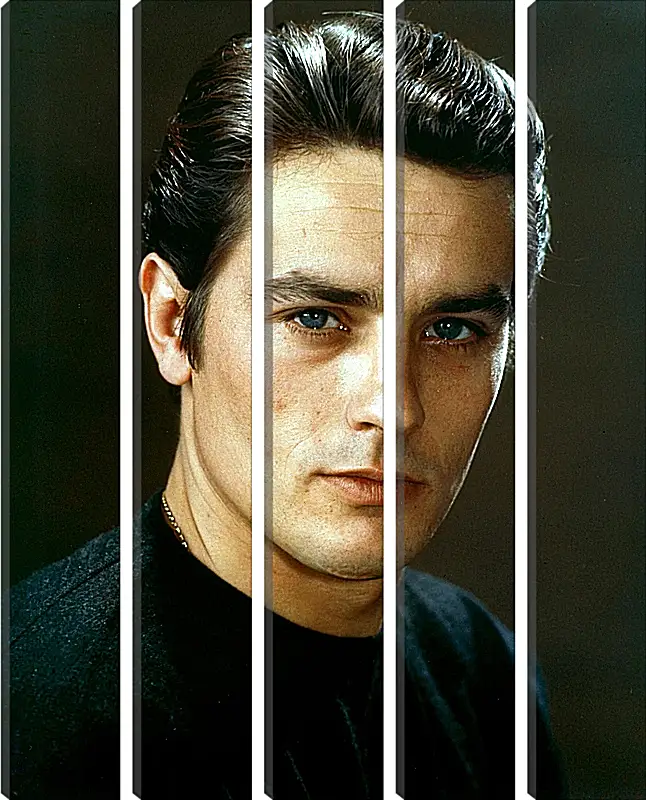 Модульная картина - Ален Делон. Alain Delon