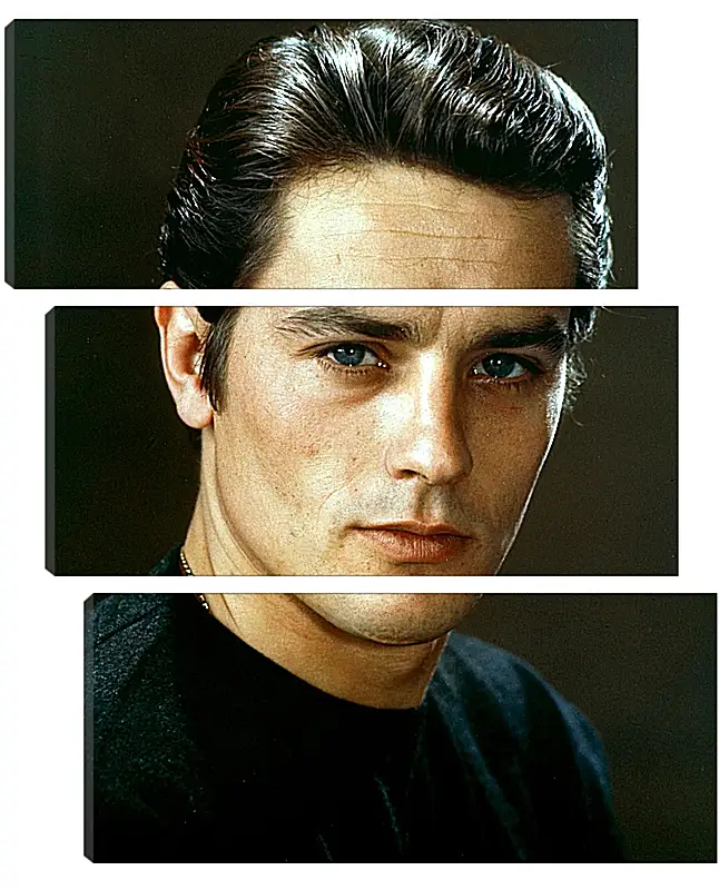 Модульная картина - Ален Делон. Alain Delon