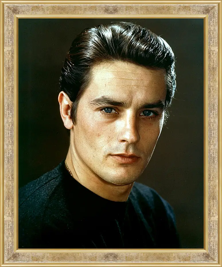 Картина в раме - Ален Делон. Alain Delon