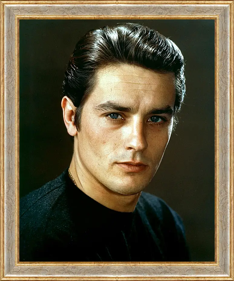 Картина в раме - Ален Делон. Alain Delon