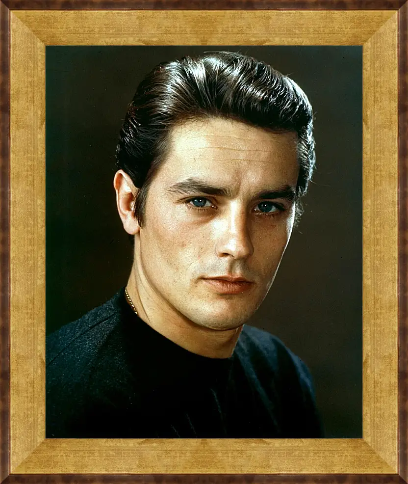 Картина в раме - Ален Делон. Alain Delon