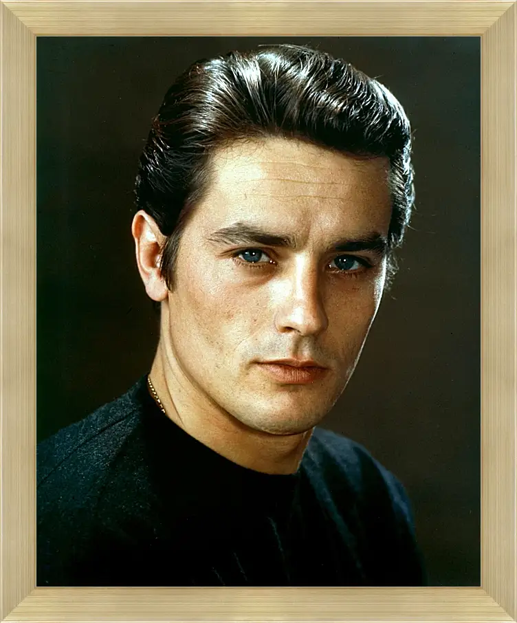 Картина в раме - Ален Делон. Alain Delon