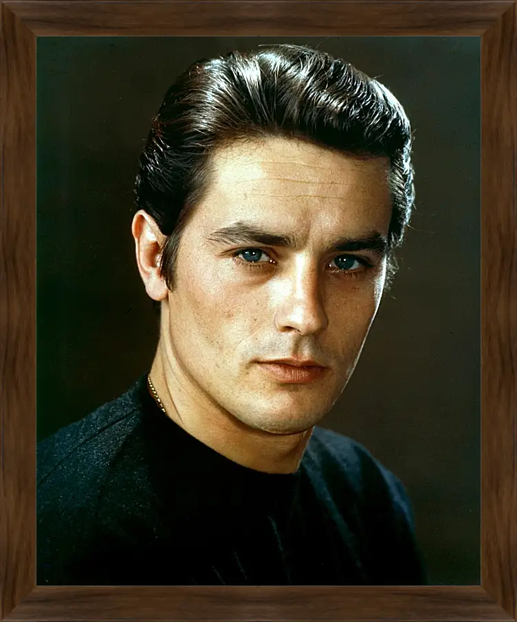 Картина в раме - Ален Делон. Alain Delon