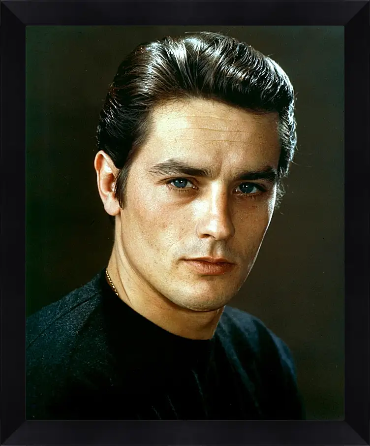 Картина в раме - Ален Делон. Alain Delon