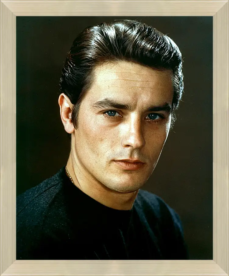 Картина в раме - Ален Делон. Alain Delon