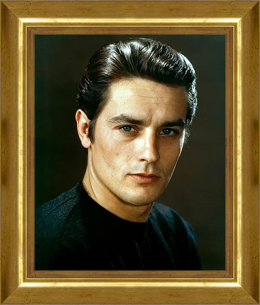 Картина в раме - Ален Делон. Alain Delon