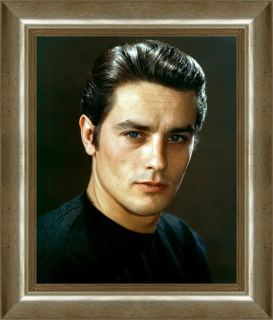 Картина в раме - Ален Делон. Alain Delon