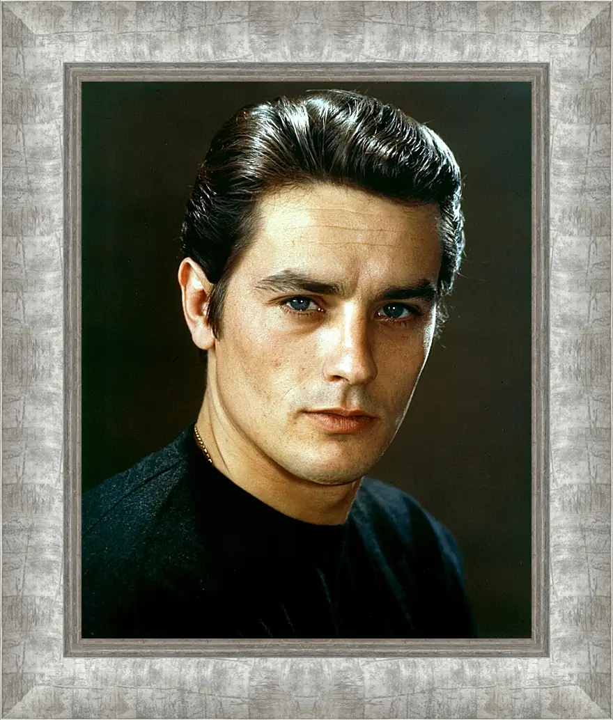 Картина в раме - Ален Делон. Alain Delon