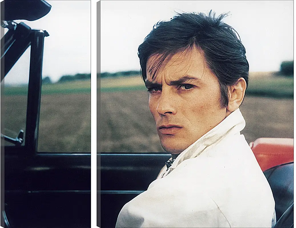 Модульная картина - Ален Делон. Alain Delon