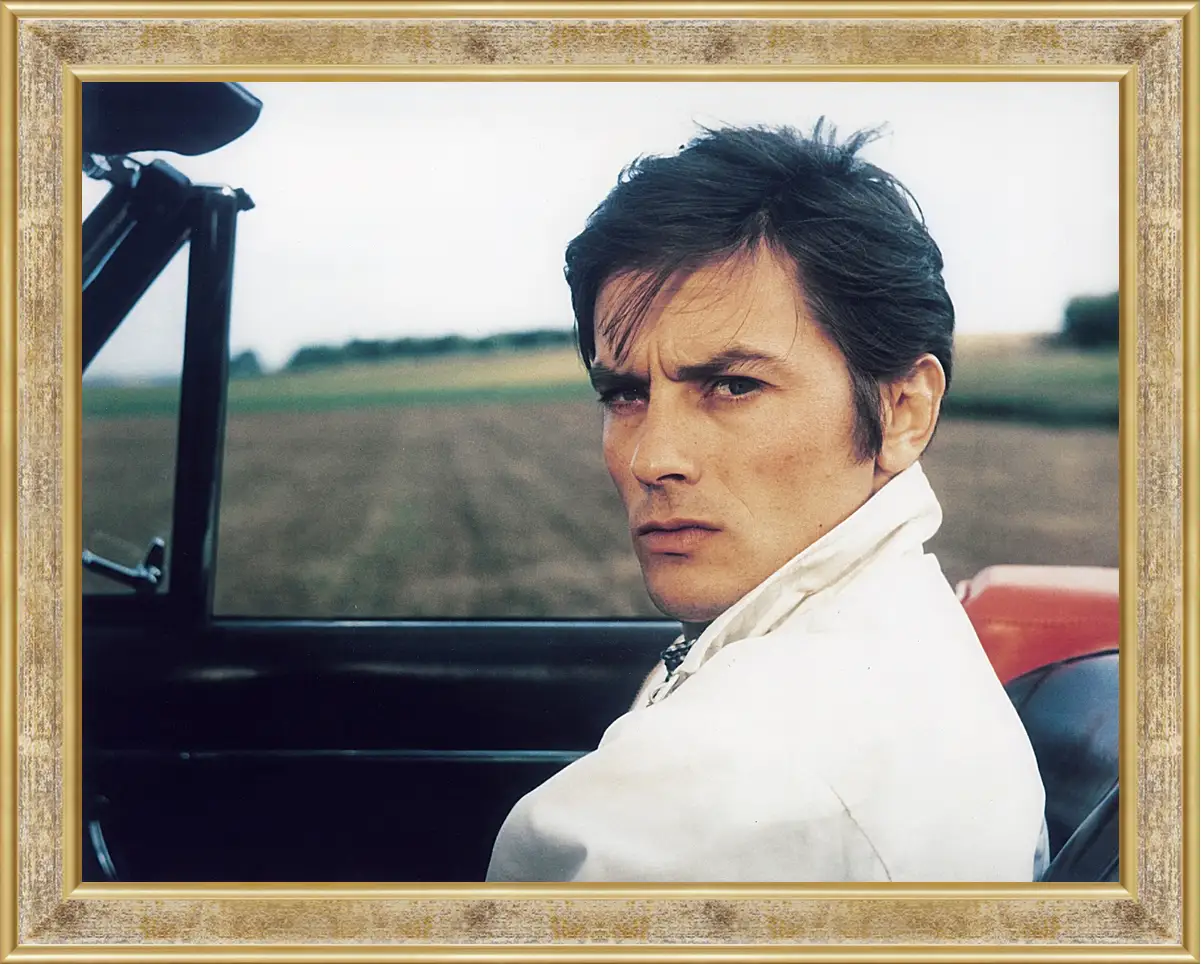 Картина в раме - Ален Делон. Alain Delon