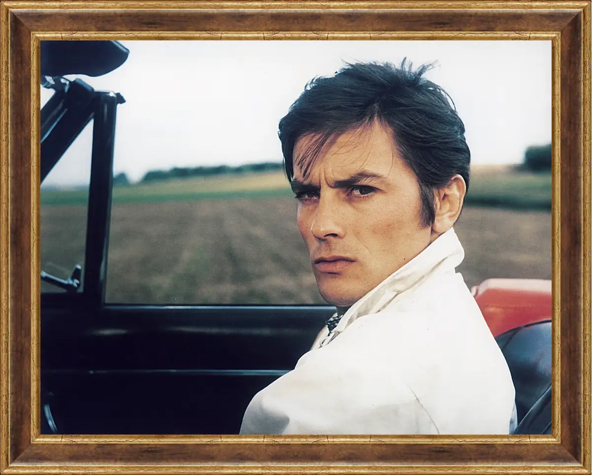 Картина в раме - Ален Делон. Alain Delon