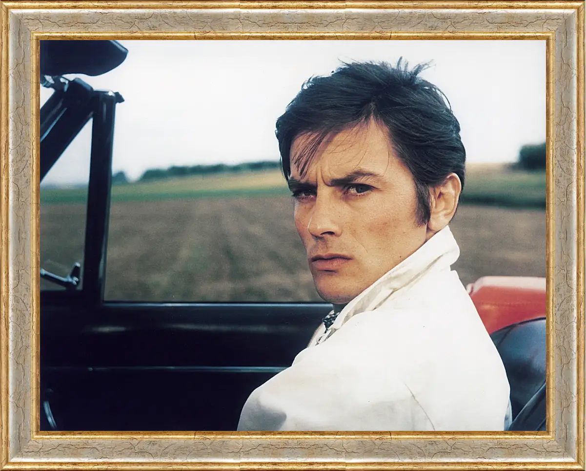 Картина в раме - Ален Делон. Alain Delon