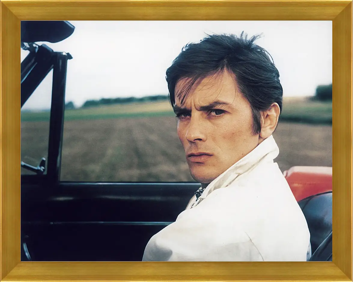 Картина в раме - Ален Делон. Alain Delon