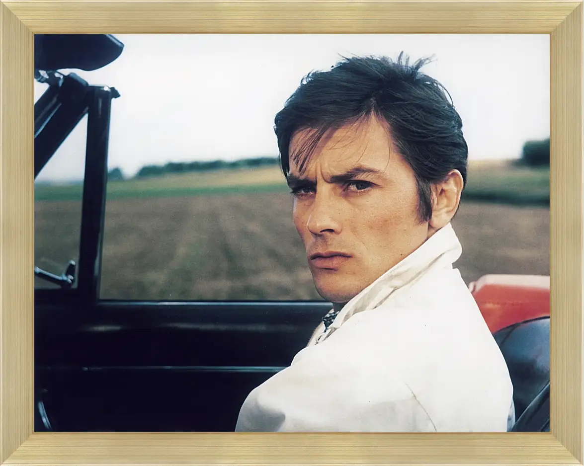 Картина в раме - Ален Делон. Alain Delon