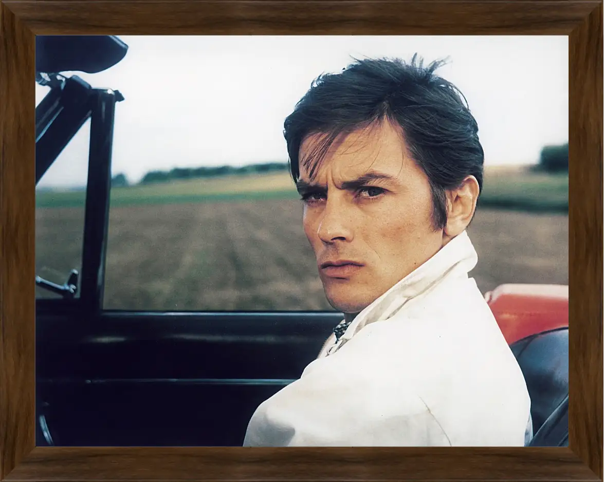 Картина в раме - Ален Делон. Alain Delon