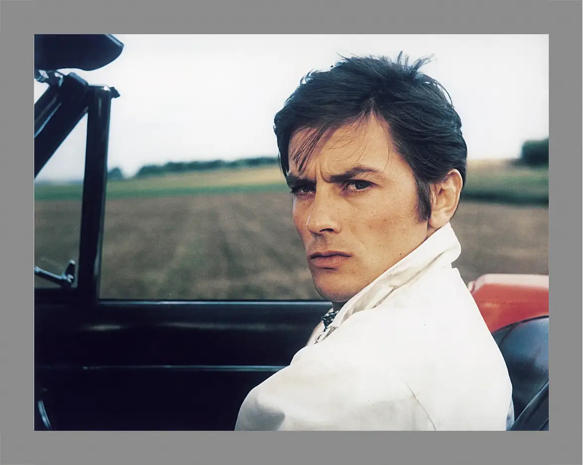 Картина в раме - Ален Делон. Alain Delon