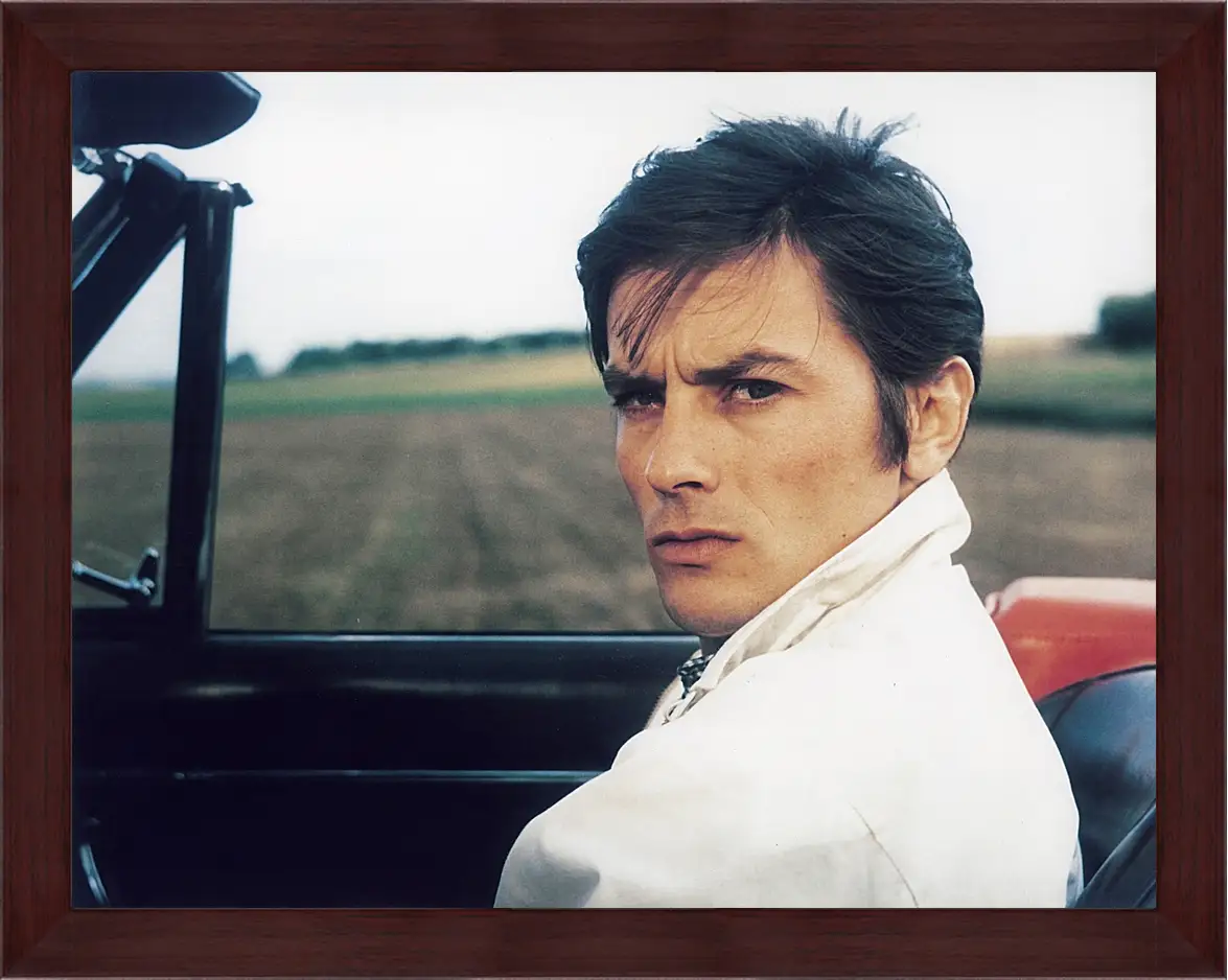 Картина в раме - Ален Делон. Alain Delon