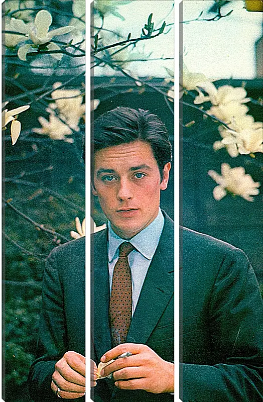 Модульная картина - Ален Делон. Alain Delon