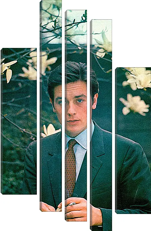 Модульная картина - Ален Делон. Alain Delon