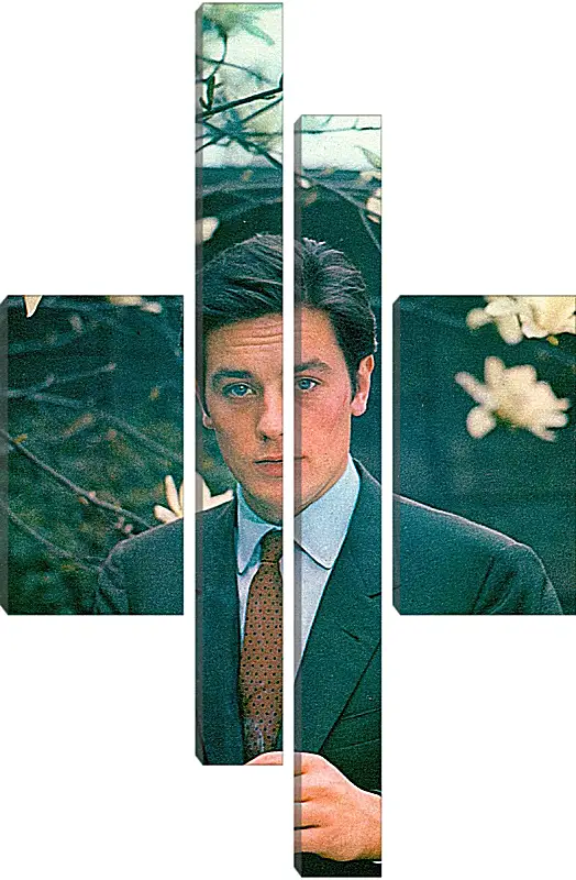 Модульная картина - Ален Делон. Alain Delon