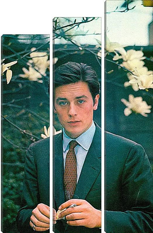 Модульная картина - Ален Делон. Alain Delon