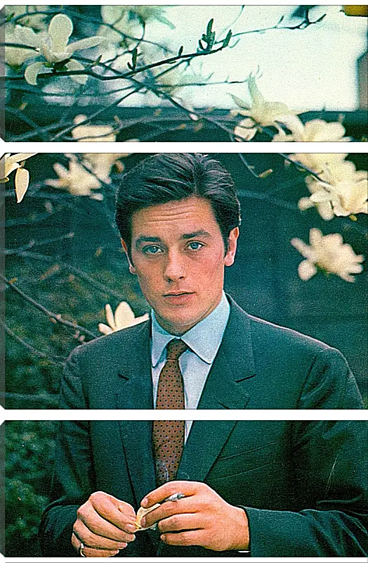 Модульная картина - Ален Делон. Alain Delon