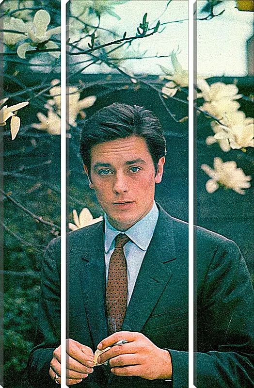 Модульная картина - Ален Делон. Alain Delon