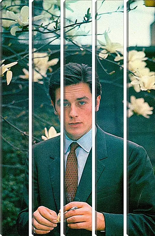 Модульная картина - Ален Делон. Alain Delon