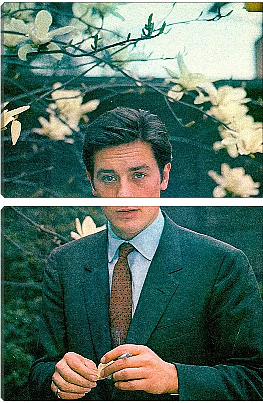 Модульная картина - Ален Делон. Alain Delon