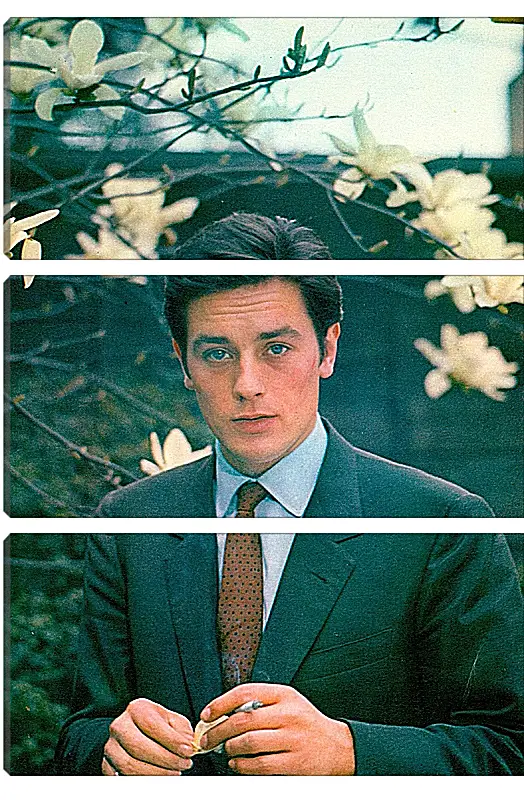 Модульная картина - Ален Делон. Alain Delon