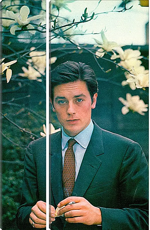 Модульная картина - Ален Делон. Alain Delon